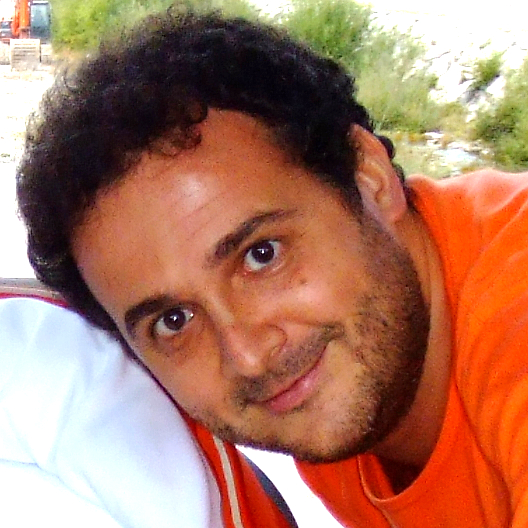 Dario Garelli
